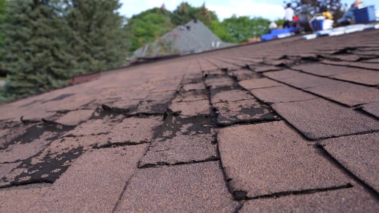 Best Roof Leak Repair  in Harlowton, MT